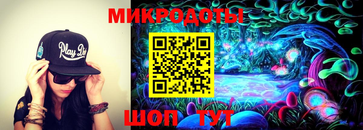 Галлюциногенные грибы Psilocybe  Вход с VPN  Петрозаводск  купить наркоту  Галлюциногенные грибы GOLDEN TEACHER 